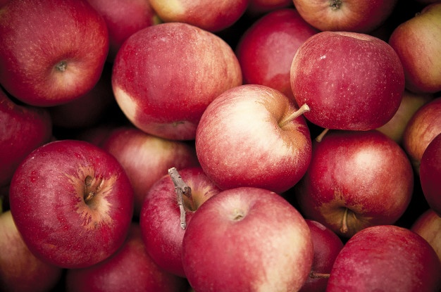 آیا خوردن یک عدد سیب در روز ما را از پزشک بی نیاز می کند؟-وبسایت رابو