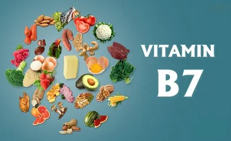 ویتامین ب 7 یا بیوتین:فواید، عوارض و مواد غذایی حاوی ویتامینB7
